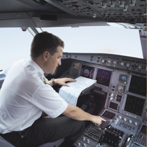 No win no flea No win no flea