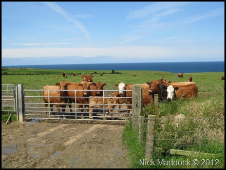 539625_391447594255039_1733951640_n