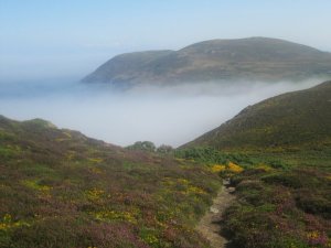 251421_179327182133749_100001694063812_434487_2068345_n