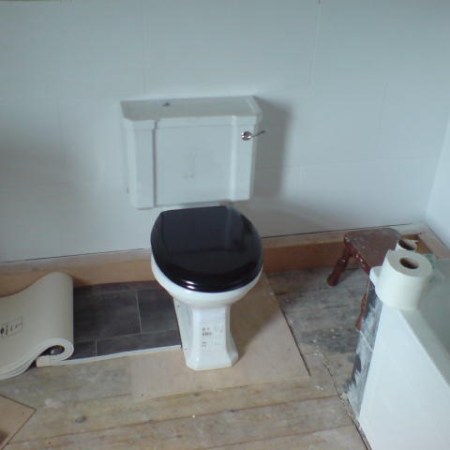Picture of the day: Bathroom in Progress (2008)